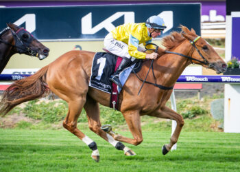 King Of Light chasing elite company