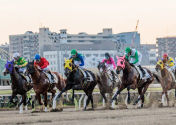 Racelab Tips: Tokyo City Keiba