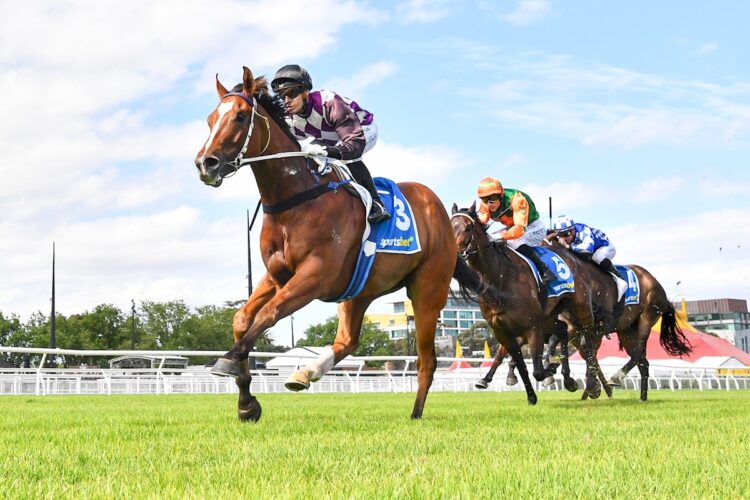 You're Two Vain ridden by Cory Parish wins the Sportsbet Fixed Odds Exotics Handicap at Caulfield Heath Racecourse on November 19, 2025 in Caulfield, Australia. (Photo by Pat Scala/Racing Photos)