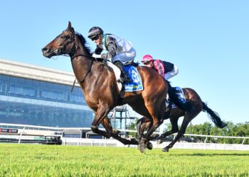 Good Will Hunting: Weekend Best