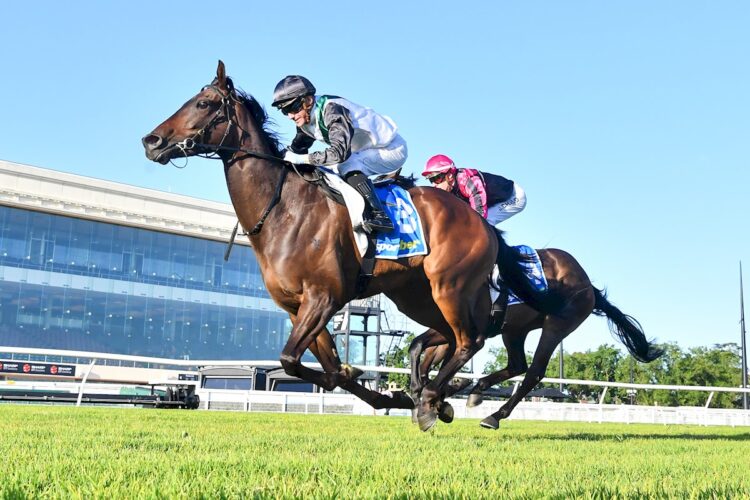 Touchdown (NZ) ridden by Luke Currie wins the Sportsbet Get On Extra Handicap at Caulfield Heath Racecourse on December 03, 2025 in Caulfield, Australia. (Photo by Pat Scala/Racing Photos)