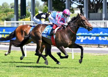 Maher’s Melek turns heads on debut