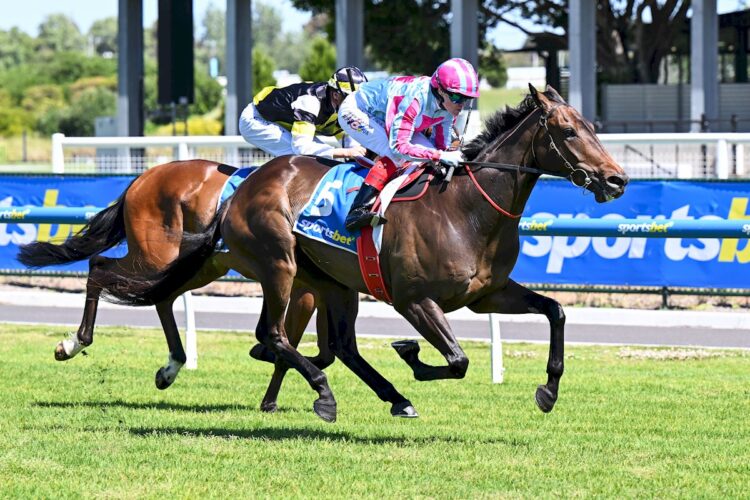Melek ridden by Craig Williams wins the Sportsbet Race Previews Plate at Caulfield Heath Racecourse on December 03, 2025 in Caulfield, Australia. (Photo by Pat Scala/Racing Photos)