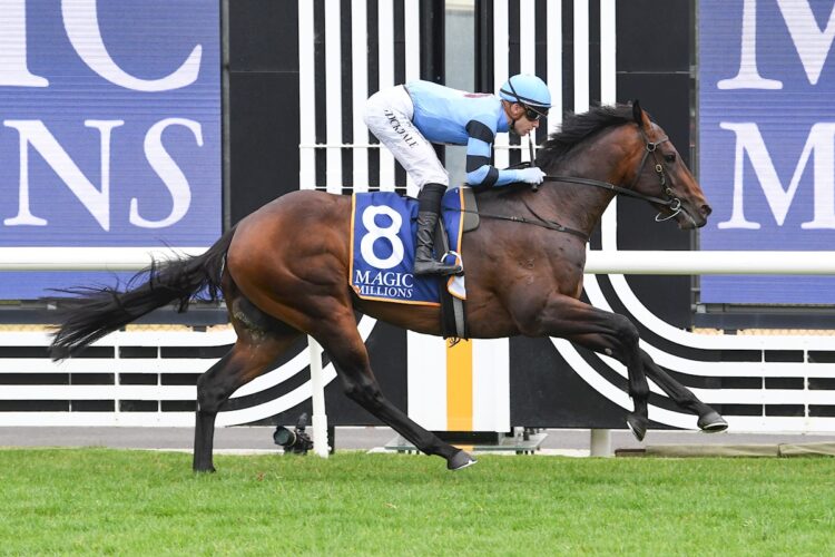 Unit Five ridden by Thomas Stockdale wins the Magic Millions VIC 2YO Classic at Caulfield Heath Racecourse on December 20, 2025 in Caulfield, Australia. (Photo by Brett Holburt/Racing Photos)