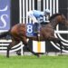 Unit Five stamps Magic Millions credentials with emotional win
