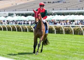 McEvoys’ last-ditch Millions push