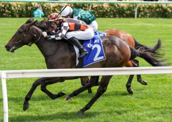 Bennett eyes Magic Millions glory