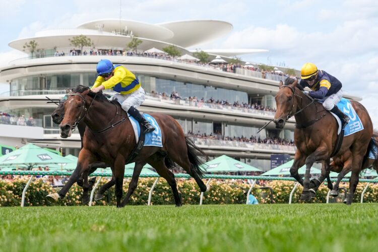 Apulia will chase a very valuable Group 1 win in Saturday's Northerly Stakes.