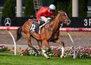 The Trial Files: Victorian blackbook