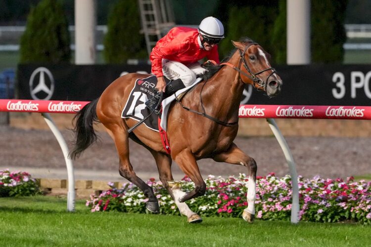 Mystic Reign looks to have returned in excellent order.