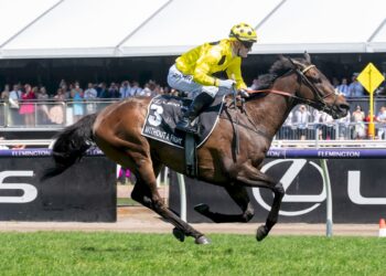 Tributes flow for Cup winning Sheikh