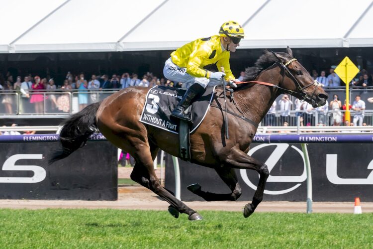 Without A Fight (IRE) ridden by Mark Zahra wins the Melbourne Cup at Flemington Racecourse on November 07, 2023 in Flemington, Australia. (Photo by Jay Town/Racing Photos)