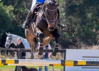 No days off: Jamie balances Group 1 glory with pre-training duties