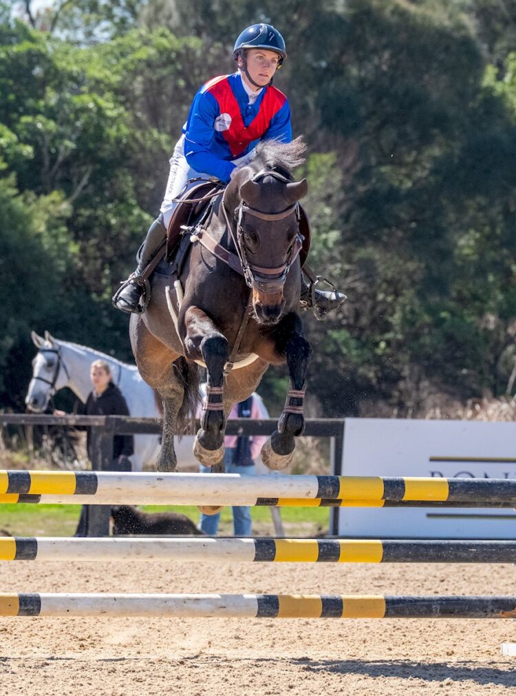 Off The Track Carnival at Boneo Park on September 14, 2025 in Boneo, Australia. Jamie Melham on December Hill Brax. (Photo by Jay Town/Racing Photos)