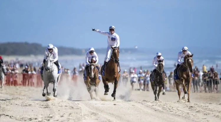 Magic Millions beach race [supplied]