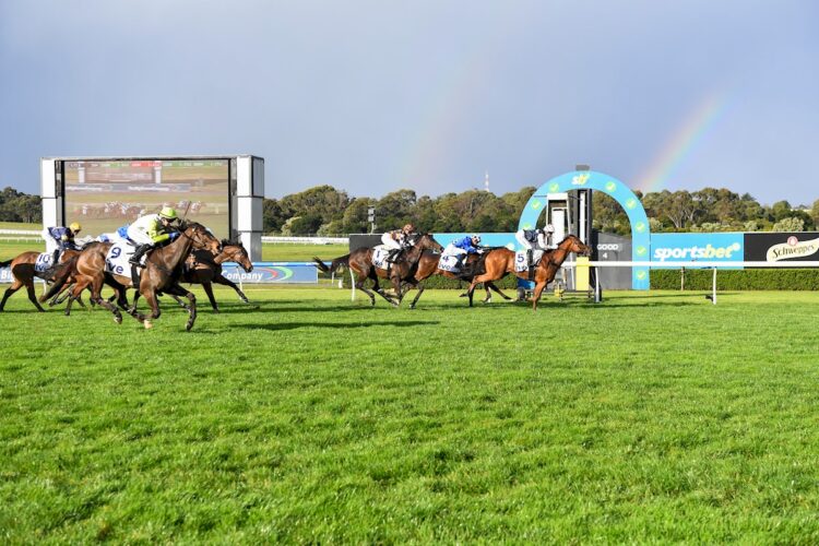 Riproar (NZ) ridden by Jamie Kah wins the ive > Handicap at Sportsbet Sandown Lakeside Racecourse on August 21, 2024 in Springvale, Australia. (Photo by Pat Scala/Racing Photos)