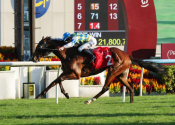 In The Lab: 2025 Hong Kong Mile