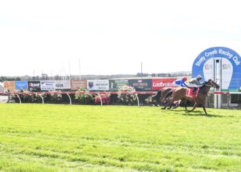 Groundhog Day for Victorian racing as another track fails, but who’s accountable?