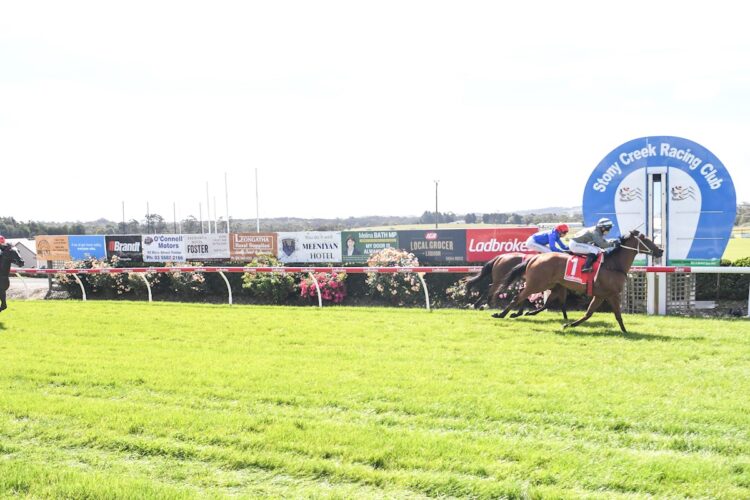 Participants and punters alike were given the bum steer at Stony Creek on Sunday.