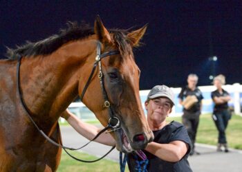 Punters left high and dry: Trainer says stewards forced favourite to flop in bog