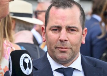 Gavin Bedggood, playing the long game, delivers