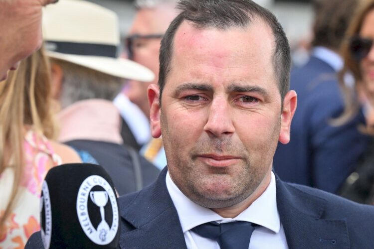 The Trial Files team think Gavin Bedggood can have a winner on Wednesday