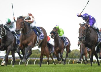 Betsy’s Best: Ellerslie