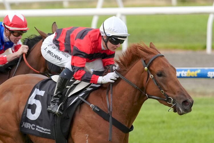 Albertville ridden by Jamie Melham wins the Denistoun Park Handicap at Mornington Racecourse on April 06, 2025 in Mornington, Australia. (Photo by Scott Barbour/Racing Photos)