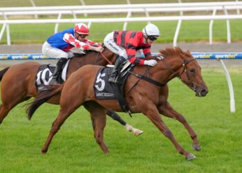 The Trial Files: Cranbourne review