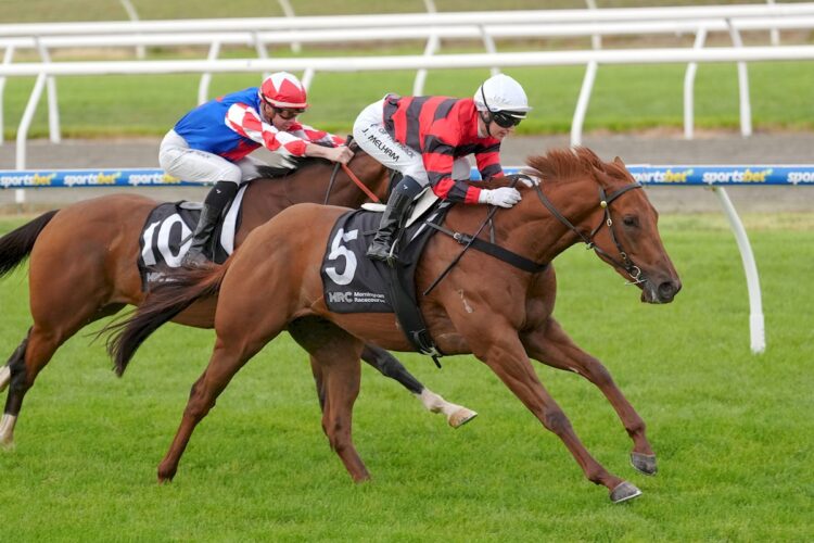 Albertville looks to have come back in super order.