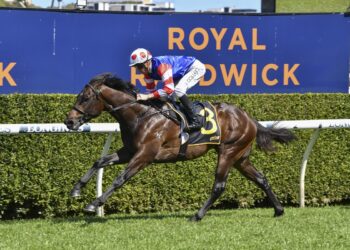 Wedding bells and winning hopes for Portelli