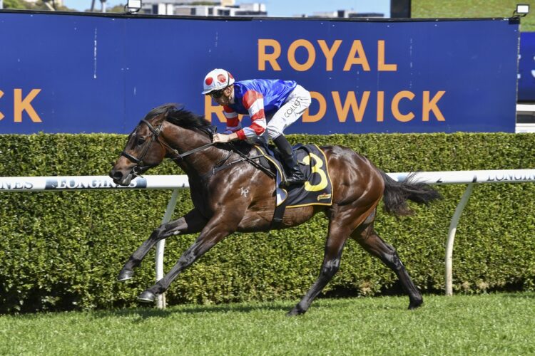Flying Trapeze [Bradley Photos]