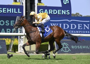 Slipper winner Ascot bound