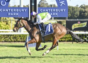 Cleary eyes Magic Millions glory with King Gutho