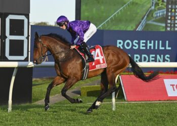 Magic Millions mission for Dunn’s duo