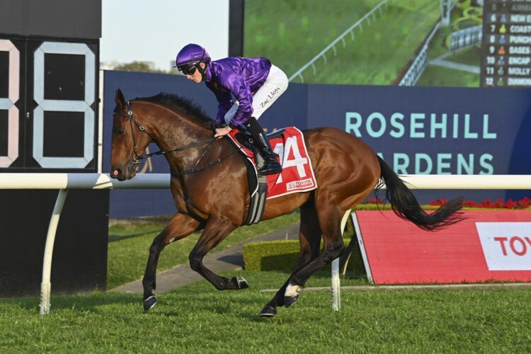 Boom Torque [Bradley Photos]