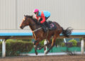 ‘His gate speed was incredible’ – record run in sight as Ka Ying Rising storms trial