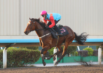 ‘His gate speed was incredible’ – record run in sight as Ka Ying Rising storms trial