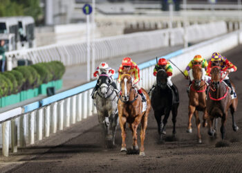 900 for Shum, title charge for Newnham