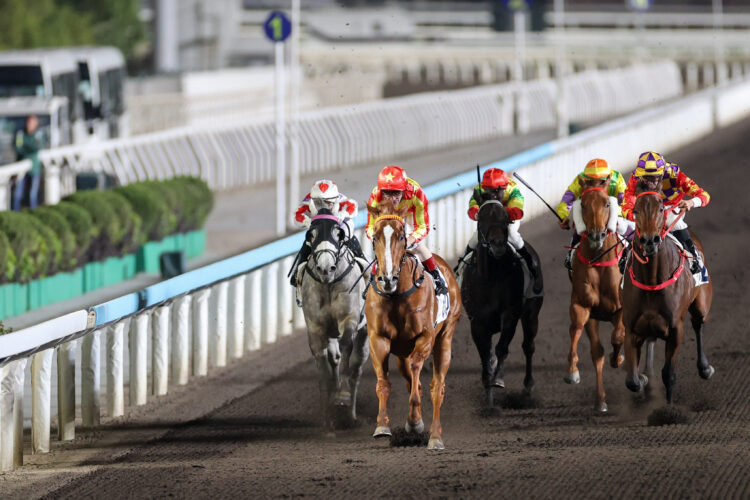 New Forest dominates from the front to win the Tin Chak Handicap. [HKJC]