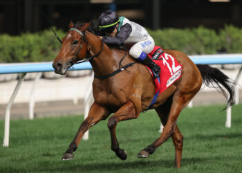 David Hayes scores 700th Hong Kong win, unveils Derby hopeful