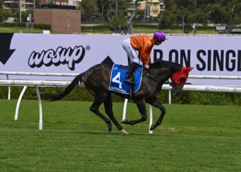 From underdog to favourite [with J-Mac on board]: Grafterburners set to shine