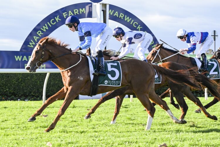 Will Elford is keen on Trapalanda at Flemington