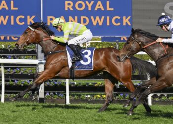 Berry says his outsider ‘definitely has the best form’