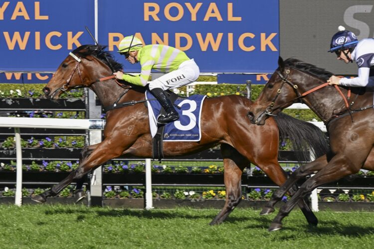 Savvy Hallie [Bradley Photos]