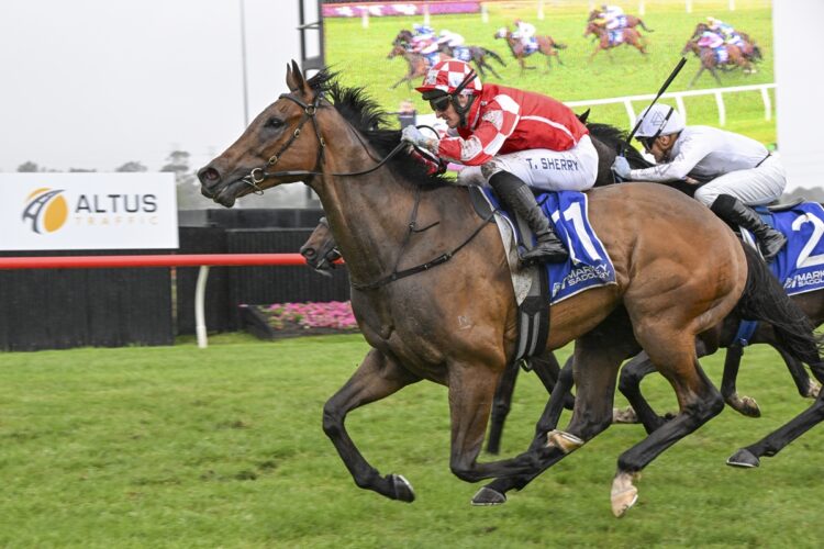 Applaud [Bradley Photos]