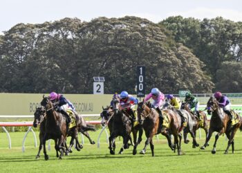 Dean Watling’s NSW Blackbook