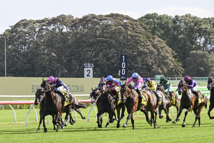 Dean Watling thinks Candlewick can win next start.