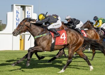 Tsarevich [Bradley Photos]