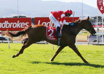 Weight drop fuels Asva’s Hobart Cup push
